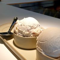  at Coconuzm - 코코넛즘 in Seoul