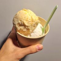 Fig sorbet and rice gelato at Coconuzm - 코코넛즘 in Seoul