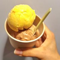 Persimmon sorbet and gochujang chocolate gelato at Coconuzm - 코코넛즘 in Seoul