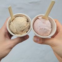 Fig & Pistachio gelato (left) and Fig Sorbet (right) at Coconuzm - 코코넛즘 in Seoul