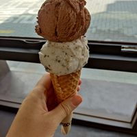 Chocolat hazelnut and mint chocolate chip at Coconuzm - 코코넛즘 in Seoul