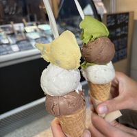   at Coconuzm - 코코넛즘 in Seoul