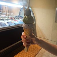  at Coconuzm - 코코넛즘 in Seoul