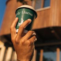   at Holy Llama  - Imittos in Athens