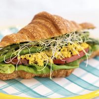   at Holy Llama  - Imittos in Athens