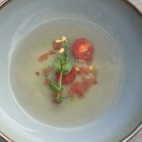 Essenz von der Strauchtomate  at Scala in Bad Waldsee