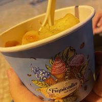 Passion fruit sorbet with mango sauce  at Tropicalia in Quarteira