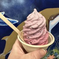 Vegan New Zealand style ice cream with mixed berries   at Welly's Real Fruit Ice Cream in Port Angeles