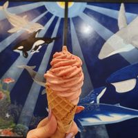 Strawberry at Welly's Real Fruit Ice Cream in Port Angeles