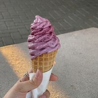 Berry vegan ice cream  at Welly's Real Fruit Ice Cream in Port Angeles