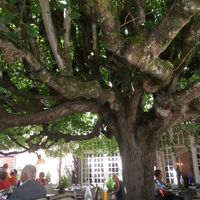 auf der Terrasse   at L'Angelo in Barbizon