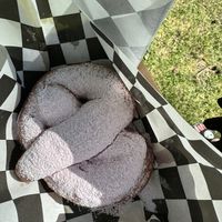   at Vegan Circus in Sacramento