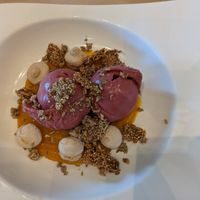 Raspberry sorbet and mango curd at Hudson Garden Grill in New York City