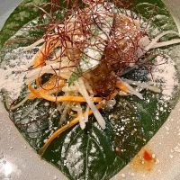   at Little Sister in Cairns