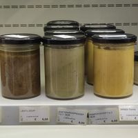  at Earth Market in Enschede