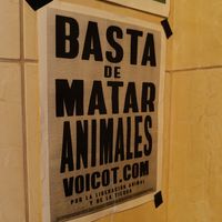  at Green Life Market in Sarande