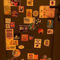   at Green Life Market in Sarande