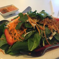 rainbow salad - good at Loving Hut in Addison