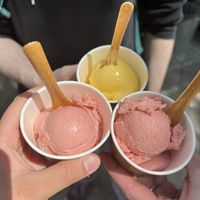   at Nordmanns in Dusseldorf