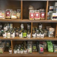 legumes and more at La Gallina Cubista in Pontremoli