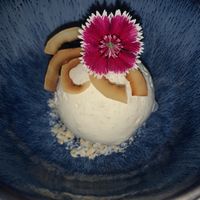 vegan coconut ice cream   at Lapa Rios Ecolodge in Puntarenas