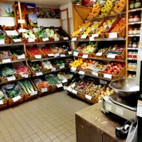 Biological vegetables & fruit at Stichting Stadsboerderij De Wiershoeck in Groningen