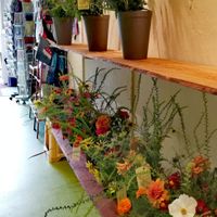 Bouquets from their garden at Stichting Stadsboerderij De Wiershoeck in Groningen