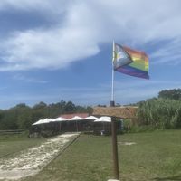   at Chiringuito Coco Bao in Pontevedra