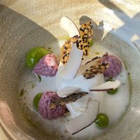 Vegan dessert from Hiša Denk across the street.  at Bistro Marco in Zgornja Kungota