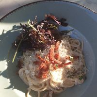 Spaghetti carbonara (this was so creamy and delicious) at Bistro Verde in Copenhagen