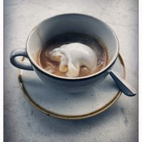 Affogato (vanilla ice cream in coffee) - good mix😉 at Bistro Verde in Copenhagen