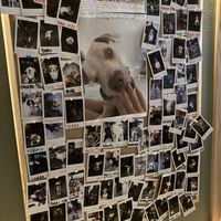   at Bistro Verde in Copenhagen