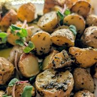  at Bistro Verde in Copenhagen