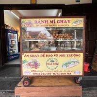   at Tam Hoa Sen in Hoi An