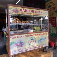   at Tam Hoa Sen in Hoi An