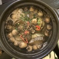   at Tam Hoa Sen in Hoi An