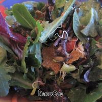 The house salad is just amazing.  Best salad ever.  REALLY. at Go Raw Cafe - Lake East in Las Vegas