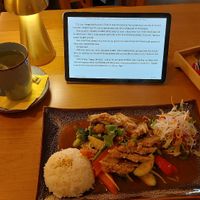 Crispy mock duck and green tea at Miss Vegan in Berlin