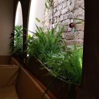 Real plants. at Miss Vegan in Berlin