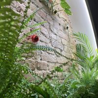   at Miss Vegan in Berlin