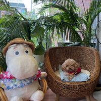   at Café BDRO in Seoul