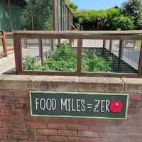 They grow some of the food for the animals themselves! at Monkey Haven in Newport