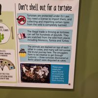 Lots of educational posters around the sanctuary at Monkey Haven in Newport