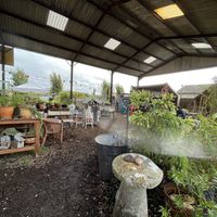   at The Pack Horse Cafe in Bridport