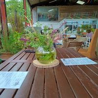  at The Pack Horse Cafe in Bridport