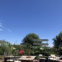   at The Pack Horse Cafe in Bridport