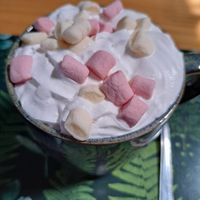  at The New Denver in Cullen