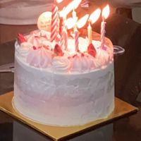 vegan,baby & diabetes friendly red forest birthday cake (3 inch height, 5inch diameter) $60 at Delcie's Desserts and Cakes in Central Singapore