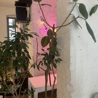 interiors at Funk You Natural Food in Berlin