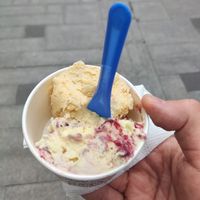  at YellowCat Gelato & Cake in Burgas